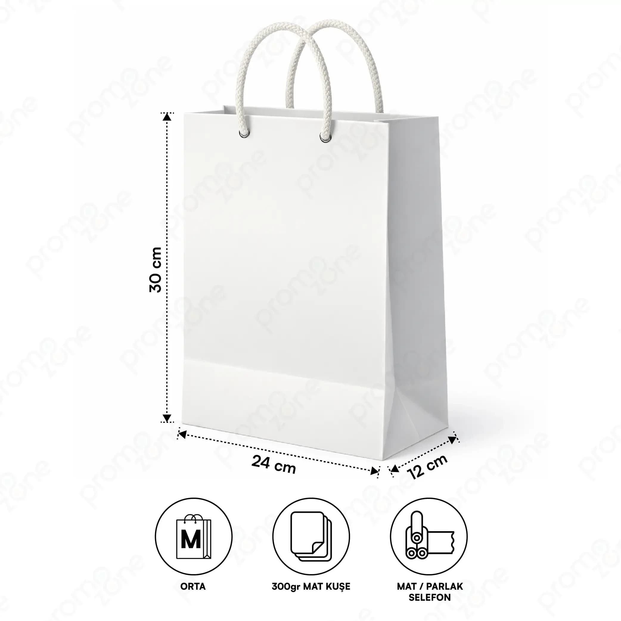 24x30x12 cm Medium Size 300 gram Matte Coated Vertical Cardboard Bag